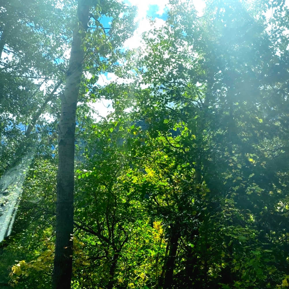 Meet your Posher, Isabella